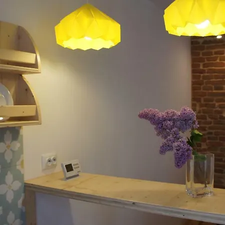 Bohemian Cozy Place كلوج-نابوكا
